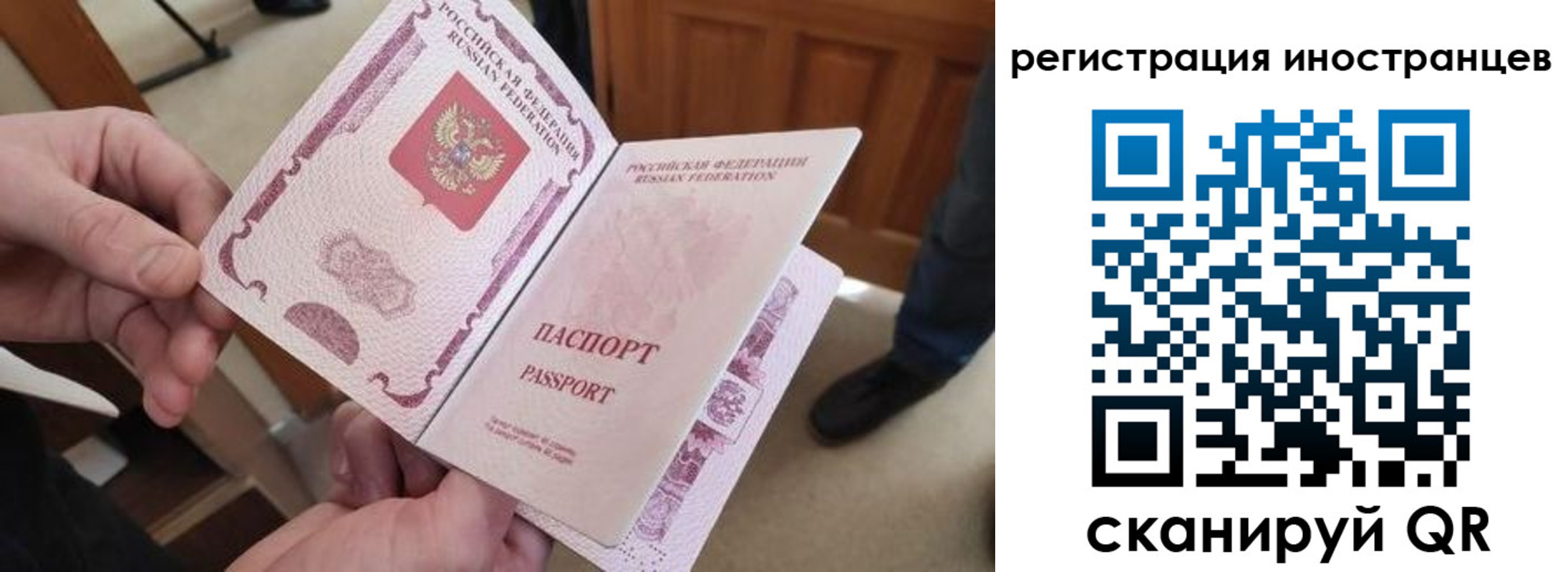 прописка ребенка в Александрове